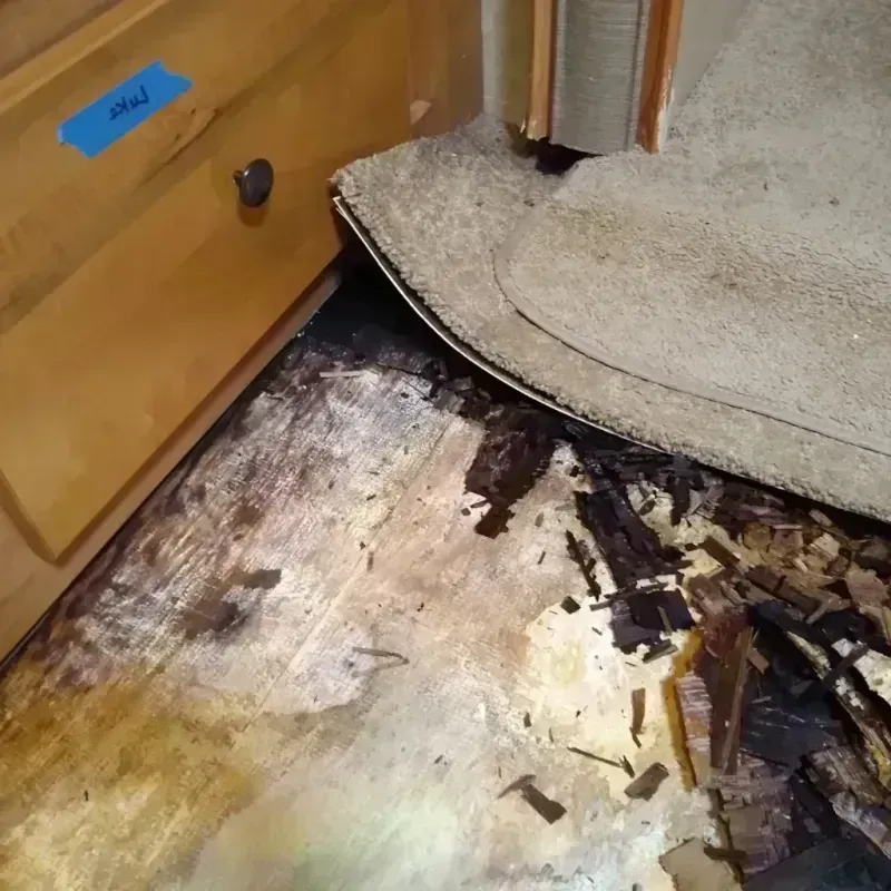 Wood Floor Water Damage in Home Garden, CA